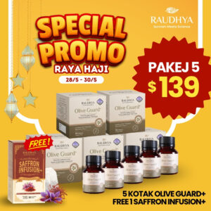 PROMO RAYA HAJI